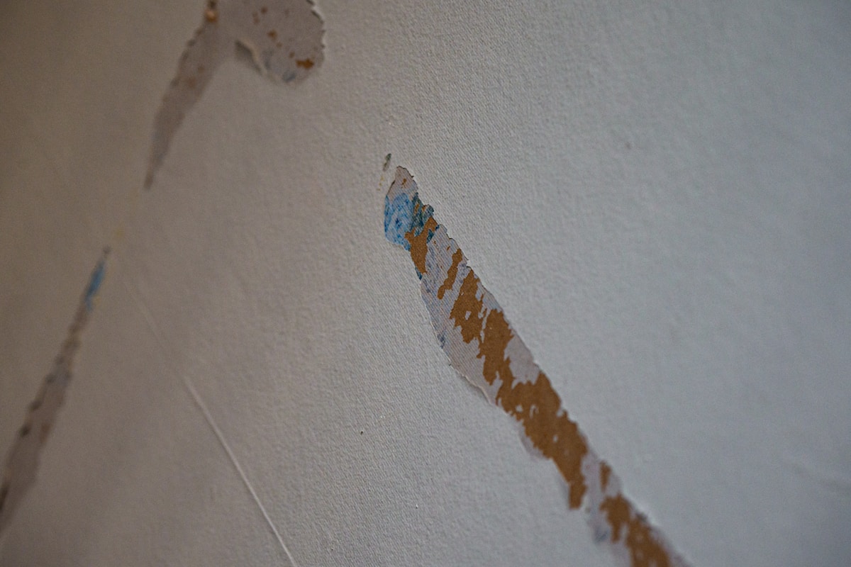 Structural Drying service in Cedar Hill, TX